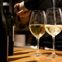ASSAGGI DIvini - CORSO di degustazione vini marchigiani