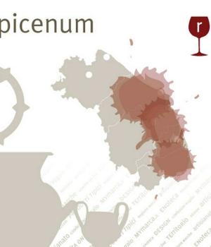 6 Flaschen roter PICENO, der meistverkaufte Wein der MÄRKEN region