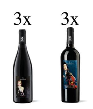 6 bottiglie vini Bastianelli  degustazione 3 Quiete + 3 Chiave di volta