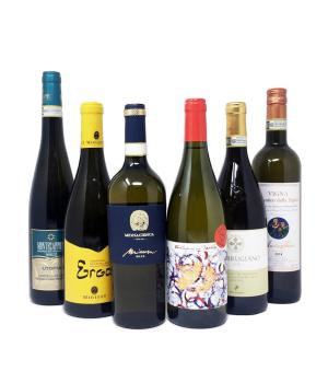 the VERDICCHIO from Matelica and Jesi the most awarded white wines of Italy
